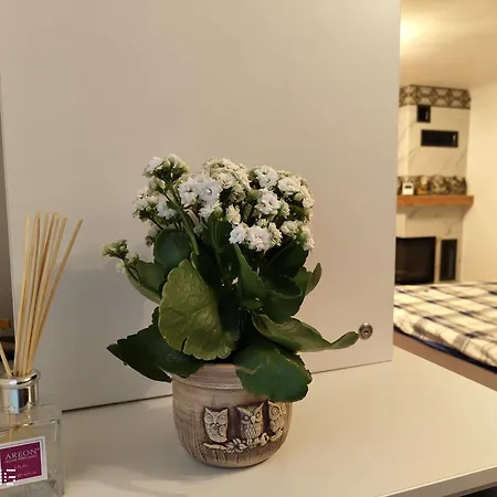 Hotel Catalin Braşov