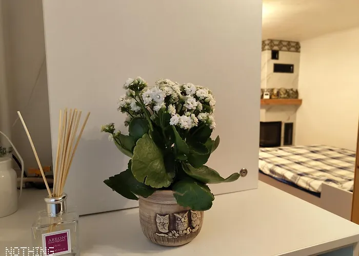 Hotel Catalin Brasov